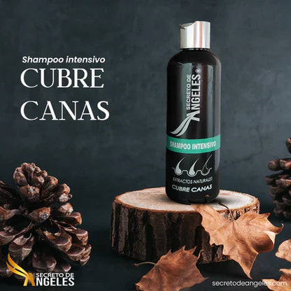 SECRETO DE ANGELES® | SHAMPOO CUBRE CANAS NATURAL + ENVIO GRATIS