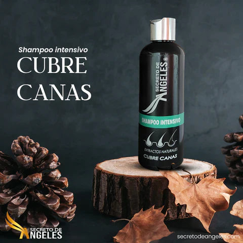 SECRETO DE ANGELES® | SHAMPOO CUBRE CANAS NATURAL + ENVIO GRATIS